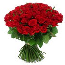 101 adet kirmizi g�l sade Temelli cicek , cicekci 