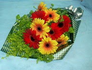 t�l i�erisinde gerbera �i�ekleri 11 adet Temelli ankara �nternetten �i�ek sipari�i 