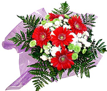 gerbera ve krizantem demeti �i�ek�i Temelli �i�ek servisi , �i�ek�i adresleri 