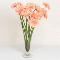 Temelli ankara �i�ek ma�azas� , �i�ek�i adresleri  ince cam vazoda 15 adet gerbera �i�egi