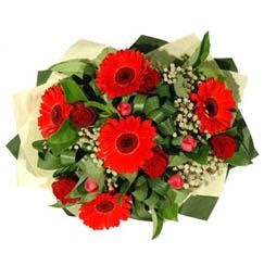 Temelli Ankara hediye sevgilime hediye �i�ek   5 adet kirmizi g�l 5 adet gerbera demeti