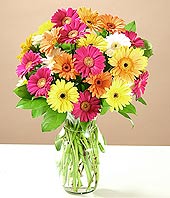 Temelli �i�ek sat��� , �i�ek�i , �i�ek�ilik  17 adet karisik gerbera