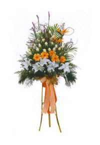 Ankara Temelli hediye �i�ek yolla  Kazablanka, gerbera ve g�llerle hazirlanmis ferfor