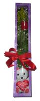 Temelli �i�ek g�nderme sitemiz g�venlidir  Seni seviyorum yazili ayicik ve kutuda tek g�l 