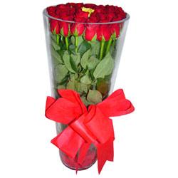 Temelli �i�ek sat��� , �i�ek�i , �i�ek�ilik  12 adet kirmizi g�l cam yada mika vazo tanzim