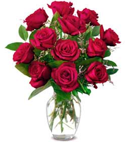 Ankara Temelli �i�ek yolla , �i�ek g�nder , �i�ek�i   1 d�zine kirmizi g�l sevenlere �zel vazo g�lleri