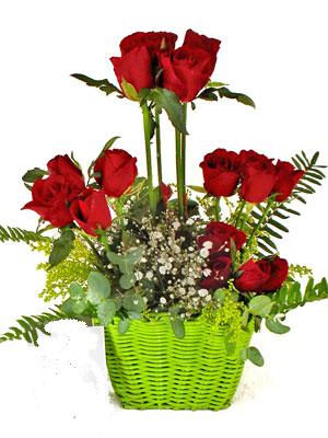 Temelli �i�ek g�nderme sitemiz g�venlidir  �i�ek siparisi 9 adet kirmizi g�l