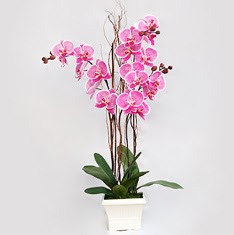 Temelli �i�ek g�nderme sitemiz g�venlidir  2 adet orkide - 2 dal orkide