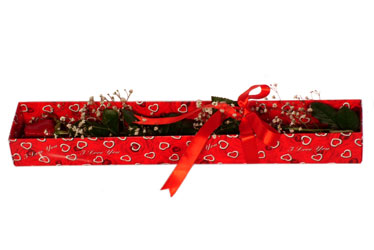 Temelli Ankara �i�ek g�nder uluslararas� �i�ek g�nderme  kutu i�erisinde 1 adet kirmizi g�l