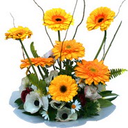 camda gerbera ve mis kokulu kir �i�ekleri Temelli Ankara �i�ek g�nder uluslararas� �i�ek g�nderme 