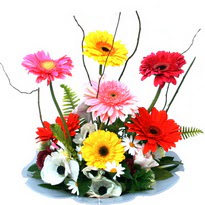 Temelli �i�ek online �i�ek sipari�i  camda gerbera ve mis kokulu kir �i�ekleri 