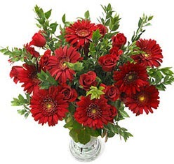 5 adet kirmizi g�l 5 adet gerbera aranjmani Temelli �i�ek online �i�ek sipari�i 