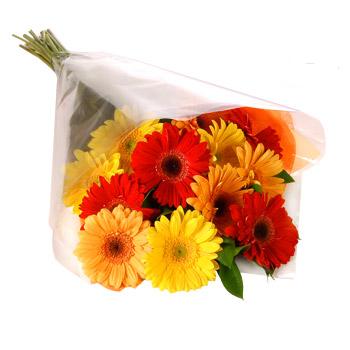Karisik renklerde gerbera buketi Temelli �i�ek g�nderme sitemiz g�venlidir 