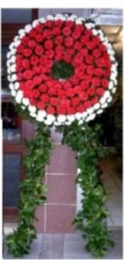 Ankara Temelli kaliteli taze ve ucuz �i�ekler  cenaze �i�ek , cenaze �i�egi �elenk �i�ek�i Temelli �i�ek servisi , �i�ek�i adresleri 