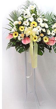 Ankara Temelli �i�ek yolla , �i�ek g�nder , �i�ek�i    perf�rje �i�egi d�g�n �i�ekleri