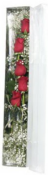 Temelli ankara �i�ek ma�azas� , �i�ek�i adresleri   5 adet g�lden kutu g�ller