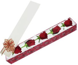 Ankara Temelli kaliteli taze ve ucuz �i�ekler  kutu i�erisinde 5 adet kirmizi g�l