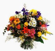 Temelli ankara �i�ek ma�azas� , �i�ek�i adresleri  T�m �i�eklerden mevsim buketi