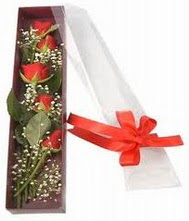 kutu i�inde 5 adet kirmizi g�l Temelli ankara �i�ek�i telefonlar� yurti�i ve yurtd��� �i�ek sipari�i 
