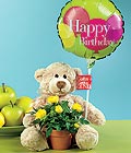 �i�ek�i Temelli �i�ek servisi , �i�ek�i adresleri  Ayicik balon ve saksida sari g�ller