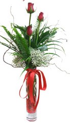 Temelli ankara �i�ek ma�azas� , �i�ek�i adresleri  3 adet kirmizi g�l vazo i�erisinde