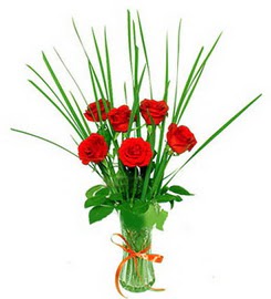 Temelli anneler g�n� �i�ek yolla  6 adet k�rm�z� g�llerden vazo �i�e�i