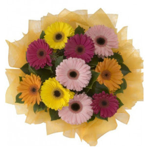Temelli �i�ek sipari�i vermek  11 adet kar���k gerbera �i�e�i buketi