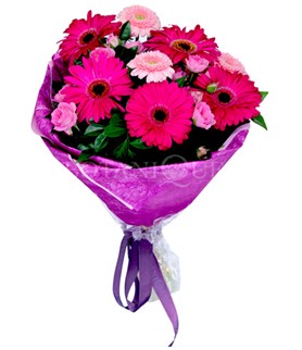 Temelli ankara �i�ek ma�azas� , �i�ek�i adresleri  kar���k gerbera �i�e�i buketi