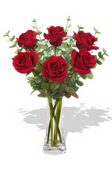 �i�ek�i Temelli �i�ek servisi , �i�ek�i adresleri  6 k�rm�z� g�l vazosu