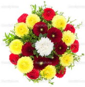 �i�ek�i Temelli �i�ek servisi , �i�ek�i adresleri  13 adet mevsim �i�e�inden g�rsel buket