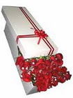 Temelli Ankara �i�ek g�nder uluslararas� �i�ek g�nderme  11 adet 1.kalite magnum g�ller