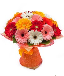 Renkli gerbera buketi ankara �i�ek yolla Temelli �i�ek�i telefonlar� 