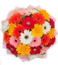 15 adet renkli gerbera buketi Temelli ankara internetten �i�ek sat��� 