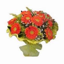 Temelli cicek , cicekci  11 adet se�me gerbera �i�egi
