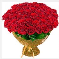 51 adet g�l 1 g�nl���ne indirimde Temelli Ankara �i�ek g�nder uluslararas� �i�ek g�nderme  