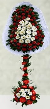 Ankara Temelli kaliteli taze ve ucuz �i�ekler  �ift katl� d���n a��l�� �i�e�i