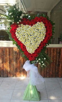 D���n Nikah pano �zel tanzimi Ankara Temelli kaliteli taze ve ucuz �i�ekler 