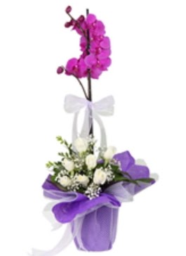 1 dal mor orkide ve 11 adet beyaz g�l Temelli ankara �i�ek sipari�i �i�ek g�nderme 