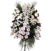 Temelli ankara �nternetten �i�ek sipari�i  Ferforje beyaz renkli kazablanka