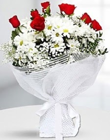 7 k�rm�z� g�l ve papatyalar buketi Ankara Temelli kaliteli taze ve ucuz �i�ekler 