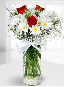 3 k�rm�z� g�l ve krizantemler camda Ankara Temelli hediye �i�ek yolla 