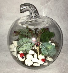 K���k terrarium elma 3 kakt�s Ankara Temelli hediye �i�ek yolla 