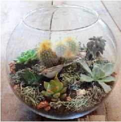 Cam fanusta 7 kakt�sl� terrarium �i�ek�i Temelli �i�ek servisi , �i�ek�i adresleri 