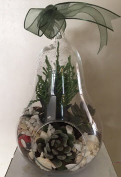 Orta boy armut terrarium 3 kakt�s Ankara Temelli �i�ek sipari�i sitesi 