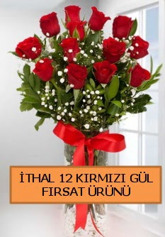  �thal k�rm�z� 12 adet kaliteli g�l Temelli Ankara hediye sevgilime hediye �i�ek 