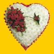 Temelli internetten �i�ek sipari�i  1.20m x 1.20m  Gerbera G�ller