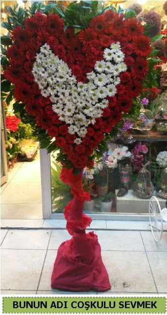 Co�kulu bir a�k �i�e�i Temelli Ankara hediye sevgilime hediye �i�ek 