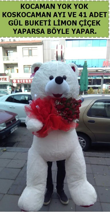 Koskocaman beyaz ay� ve 25 adet g�l Temelli ankara �i�ek ma�azas� , �i�ek�i adresleri 