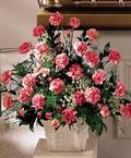 Temelli ankara �nternetten �i�ek sipari�i  Minyat�r ve pembe karanfiller