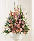Ankara Temelli 14 �ubat sevgililer g�n� �i�ek  Glayor karanfil Gerbera tanzim